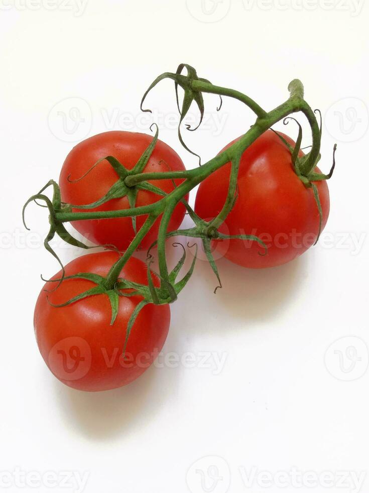 mûr tomates sur une branche sur une blanc Contexte photo