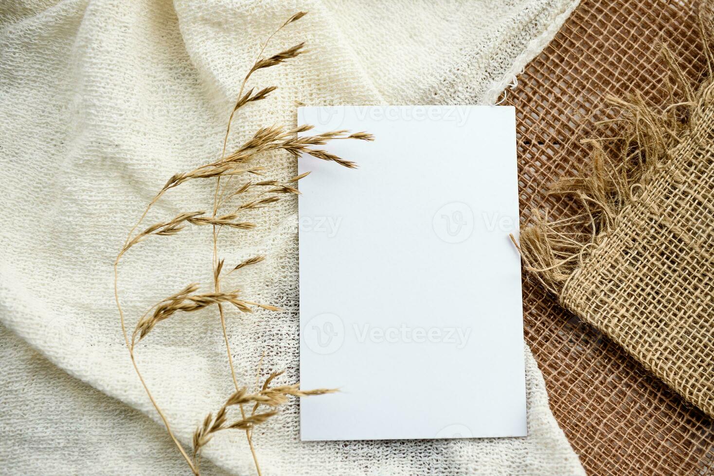 à la mode Stock papeterie Contexte - une blanc carte et brins de blé oreilles sur une blanc tableau. romantique Contexte. Vide pour un invitation carte. photo