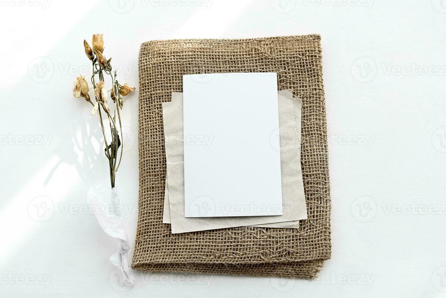 un enveloppe fabriqué de kraft papier et une blanc Vide carte sur une blanc table photo