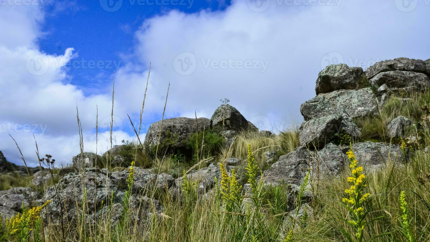 quebrada del condorito nationale parc, cordoue province, Argentine photo