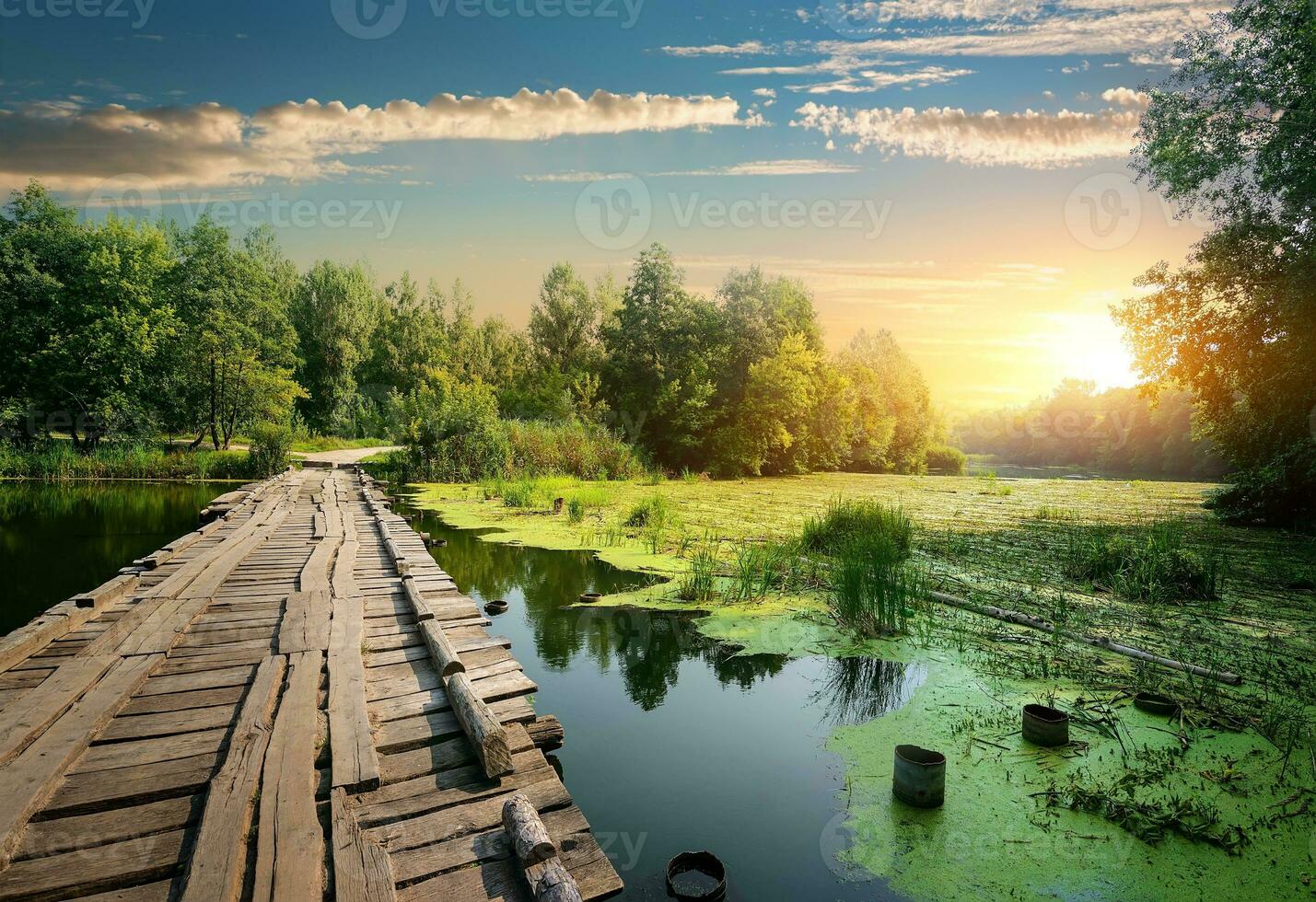 pont sur la rivière photo