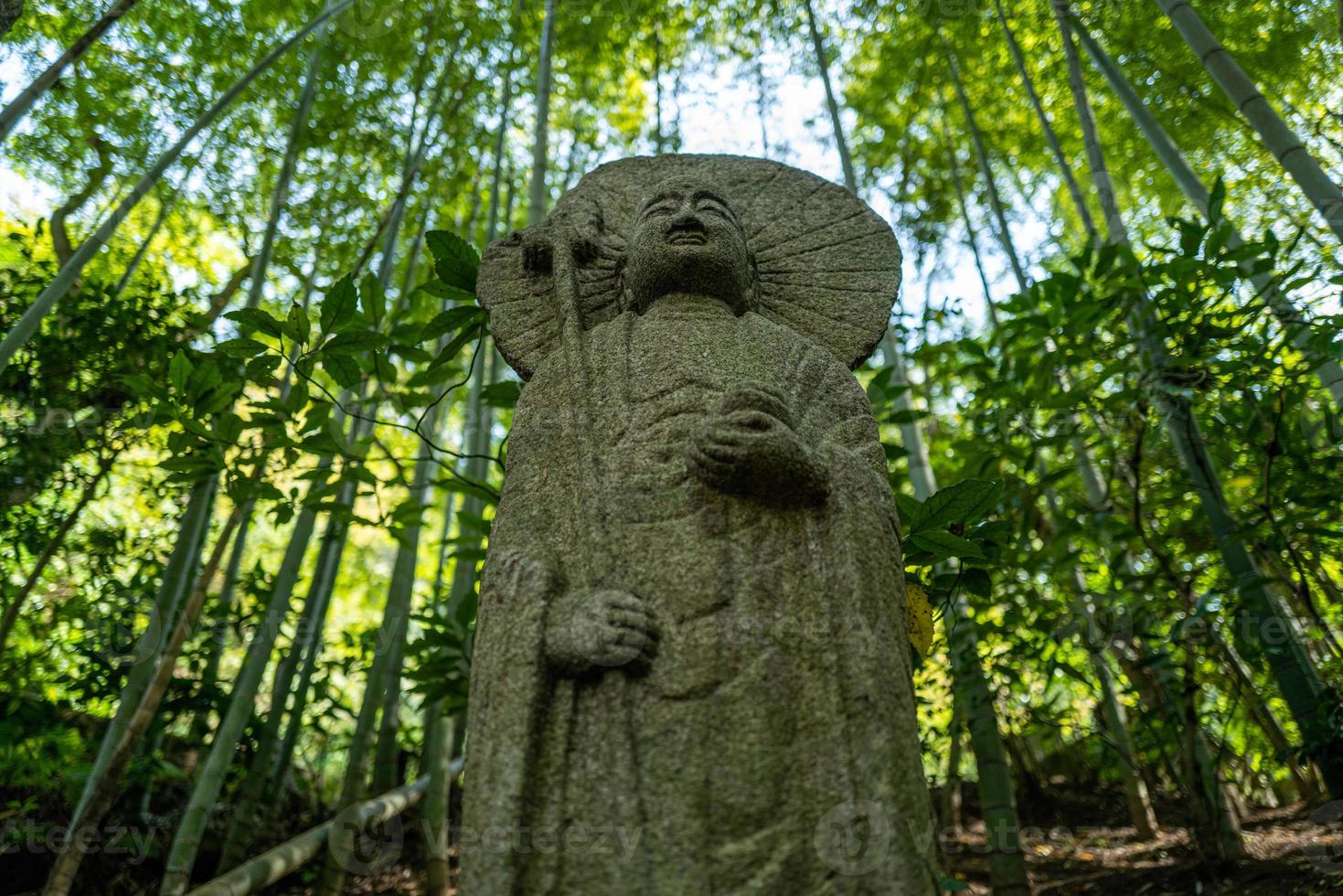 un jardin à kamakura au japon photo