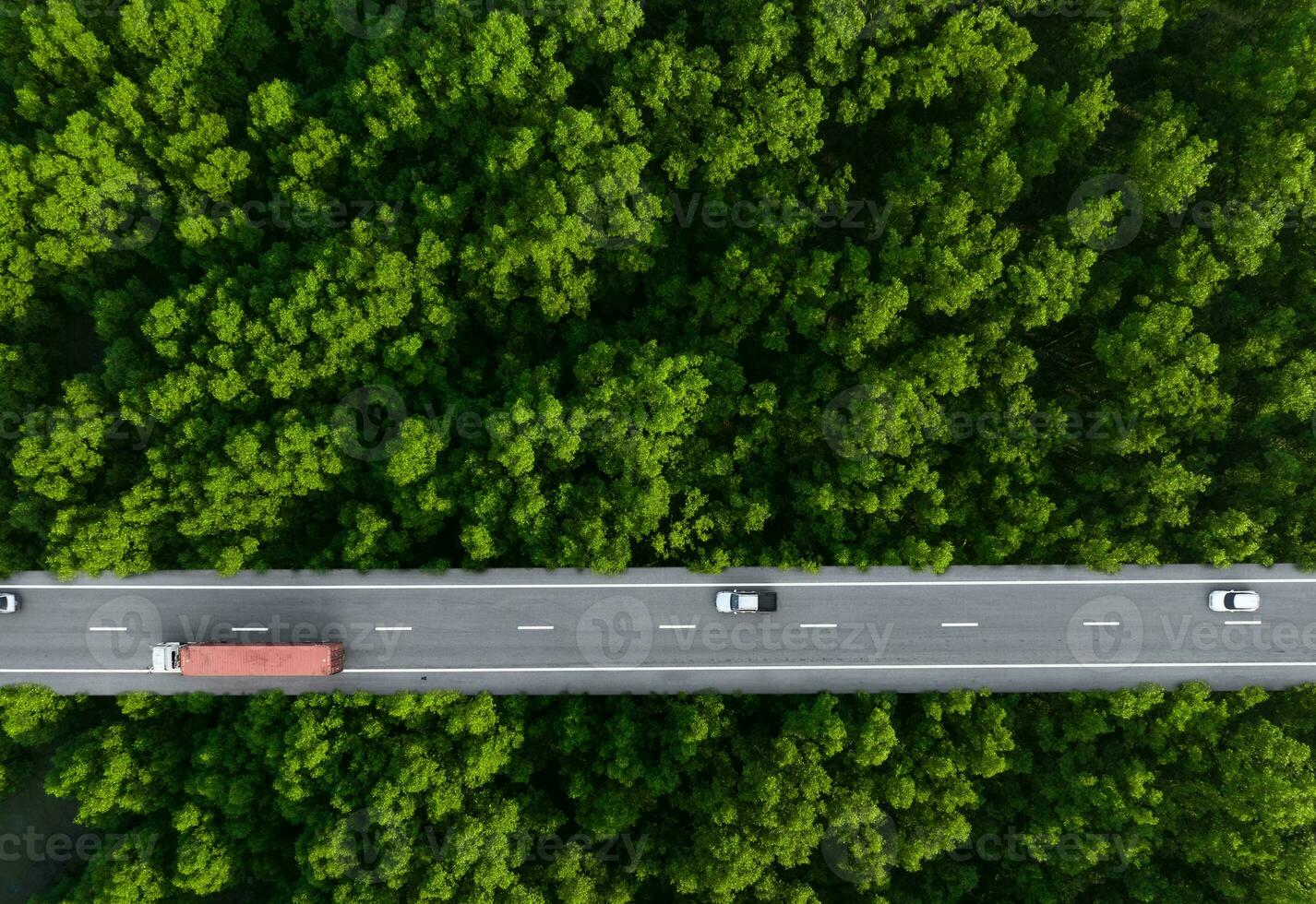 aérien Haut vue de voiture et un camion conduite sur Autoroute route dans vert forêt. durable transport. drone vue de hydrogène énergie un camion et électrique véhicule conduite sur asphalte route par vert forêt. photo