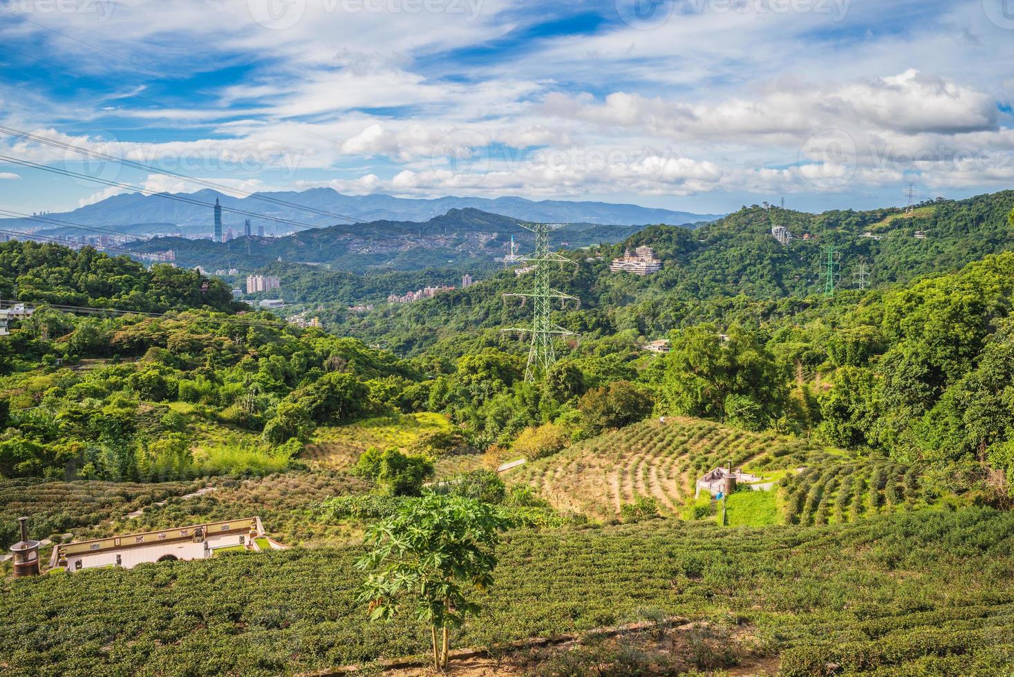 paysage du jardin de thé maokong à taipei, taiwan photo
