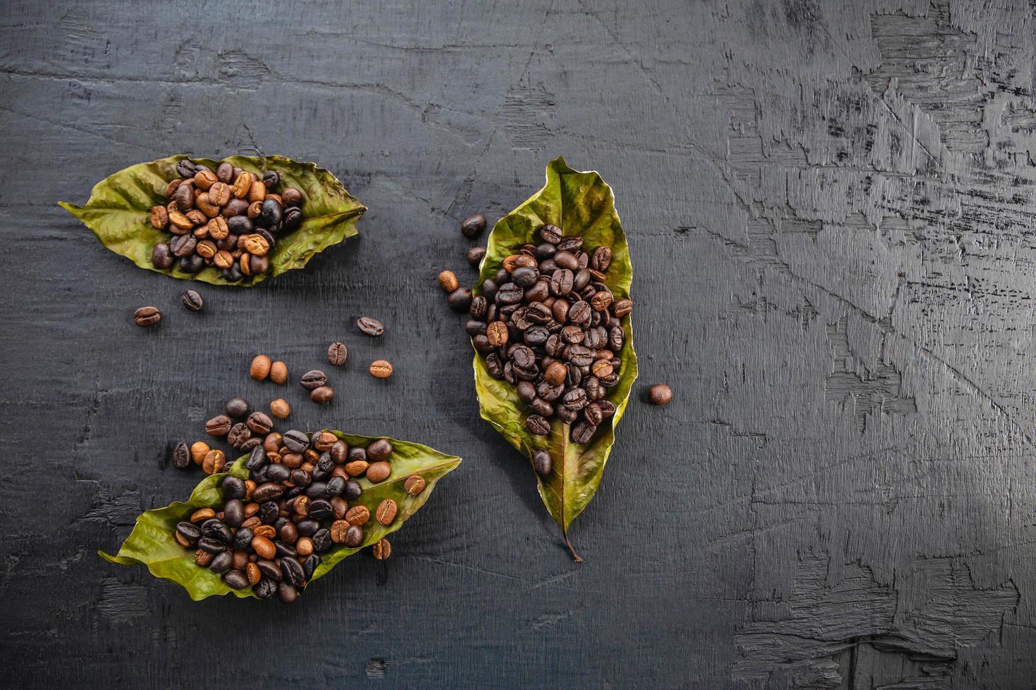 grains de café sur les feuilles de café photo