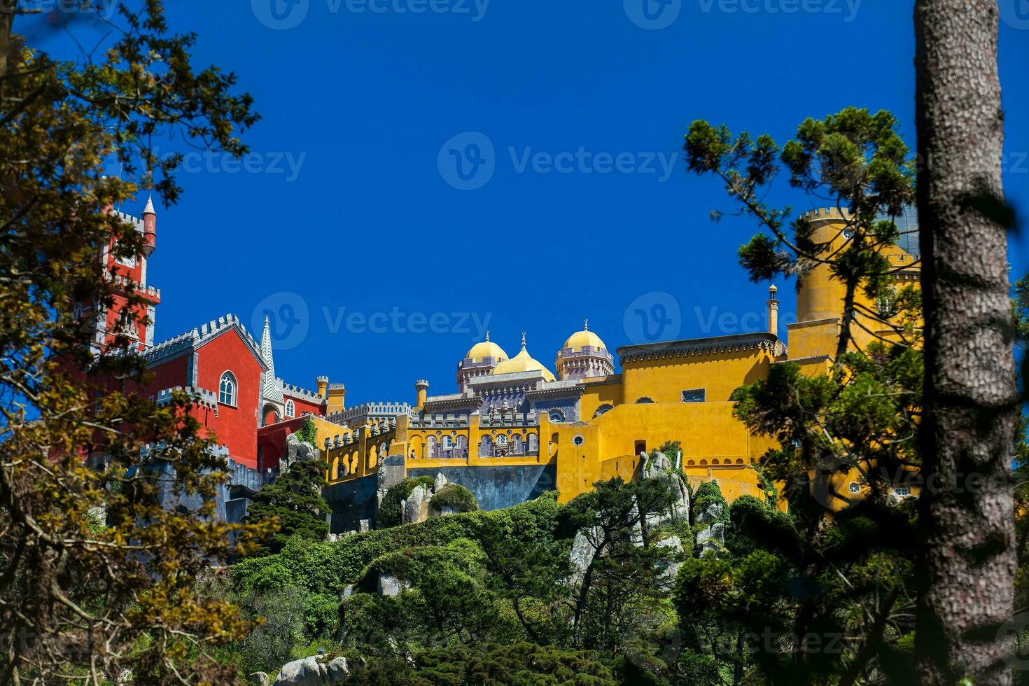 le pena palais vu de le jardins de pena parc à le municipalité de sintra photo