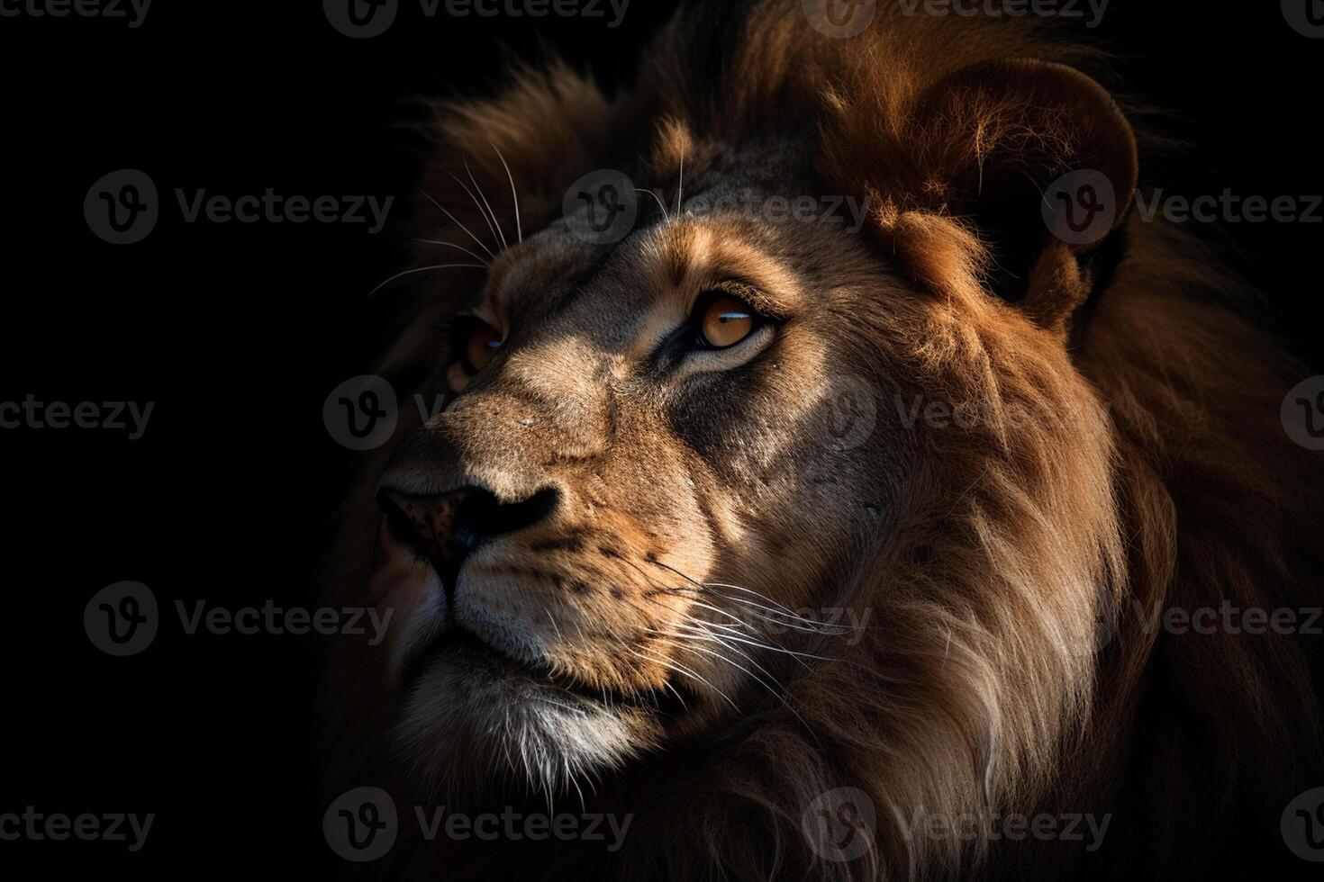 portrait de une Masculin Lion dans de face de une noir Contexte ai génératif photo