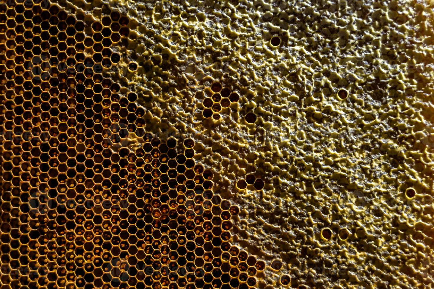 goutte de miel d'abeille goutte à goutte de nids d'abeilles hexagonaux remplis de nectar doré photo