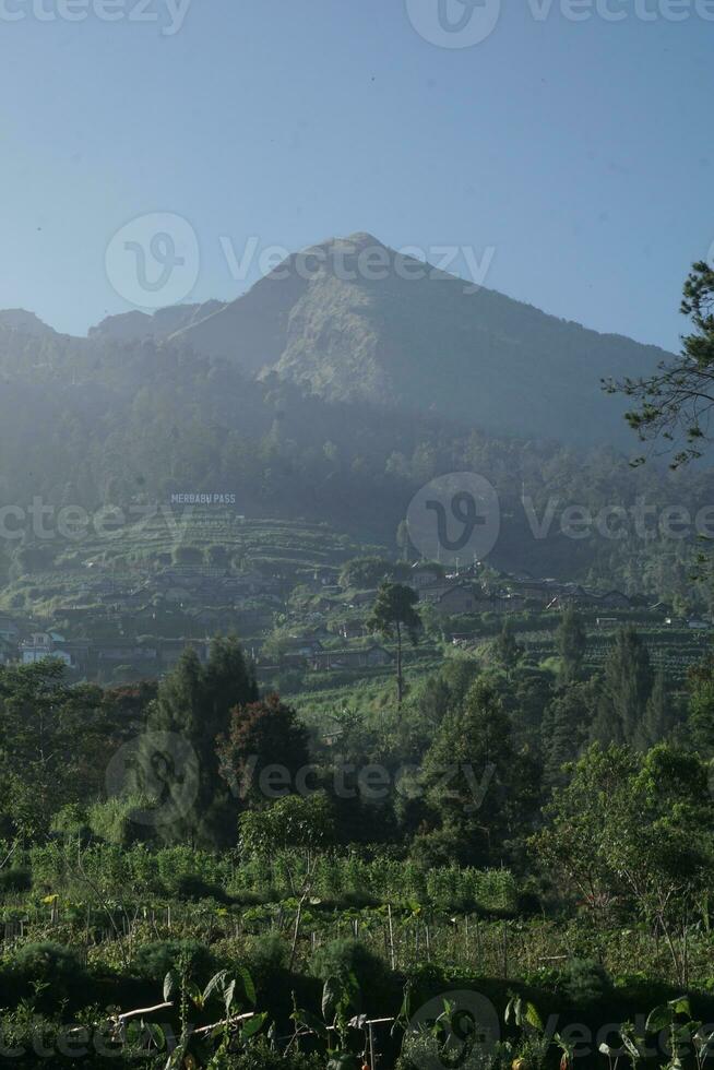 Indonésie génial la nature avec magnifique culture photo