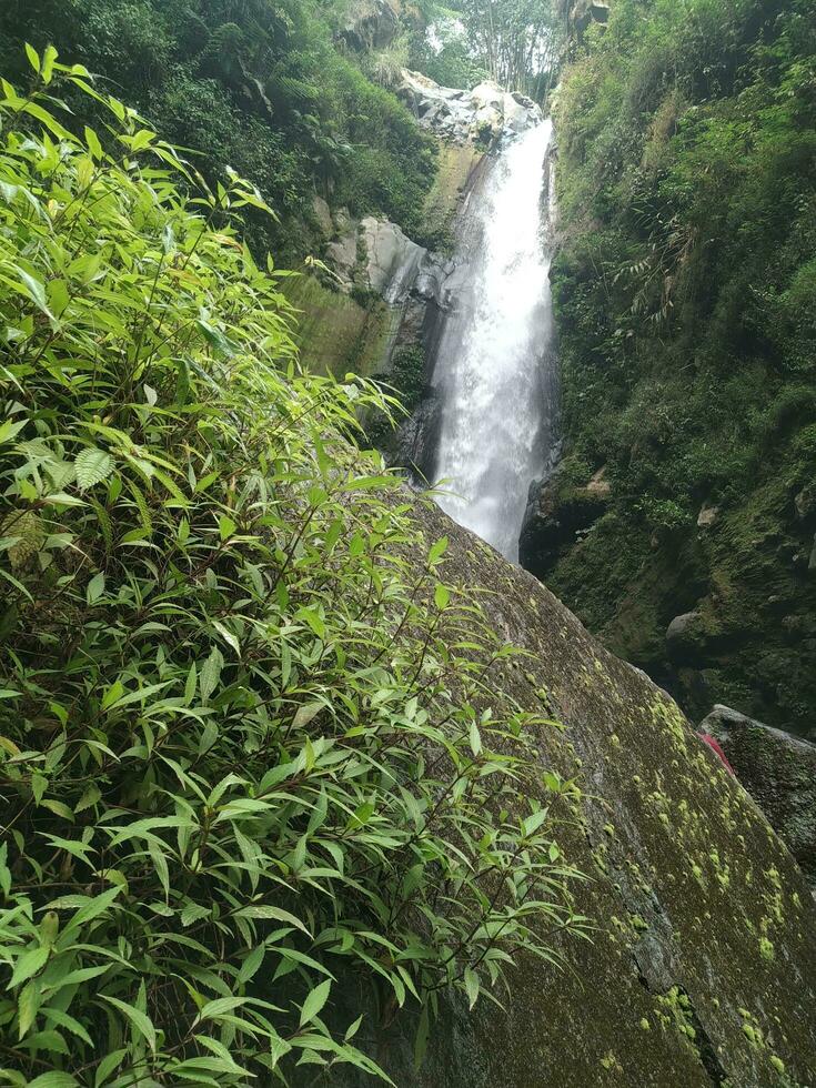 beauté cascade dans Indonésie photo