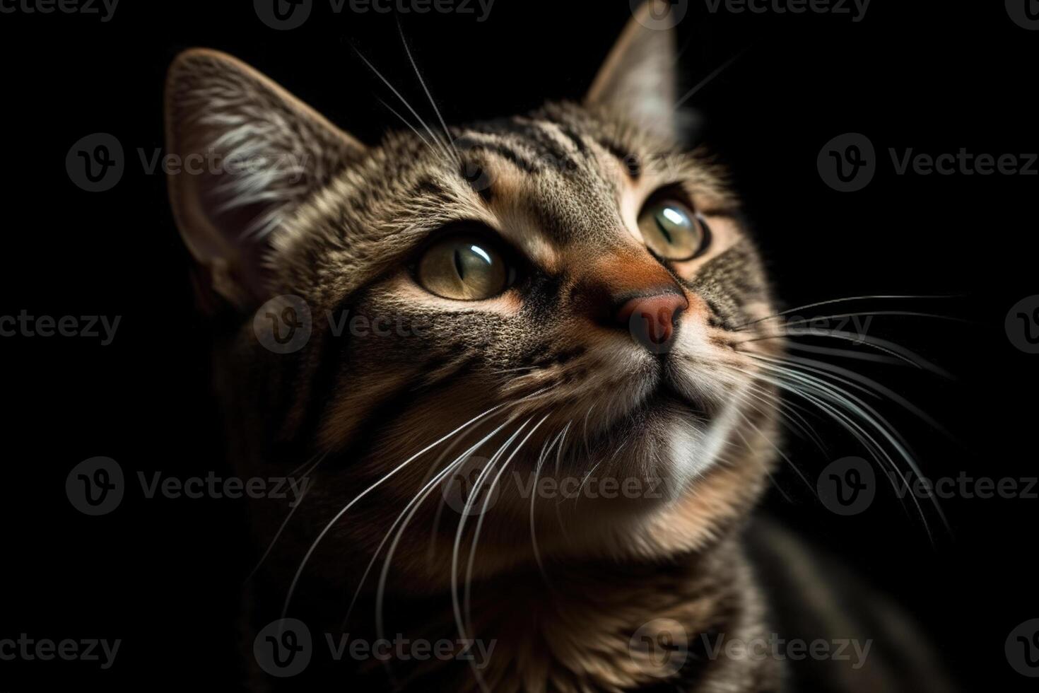 portrait de le mignonne chat en regardant. magnifique chaton à la recherche profond. généré ai. photo