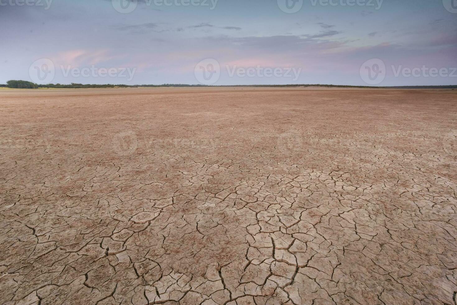 fissuré Terre, désertification processus, la la pampa province, patagonie, Argentine. photo