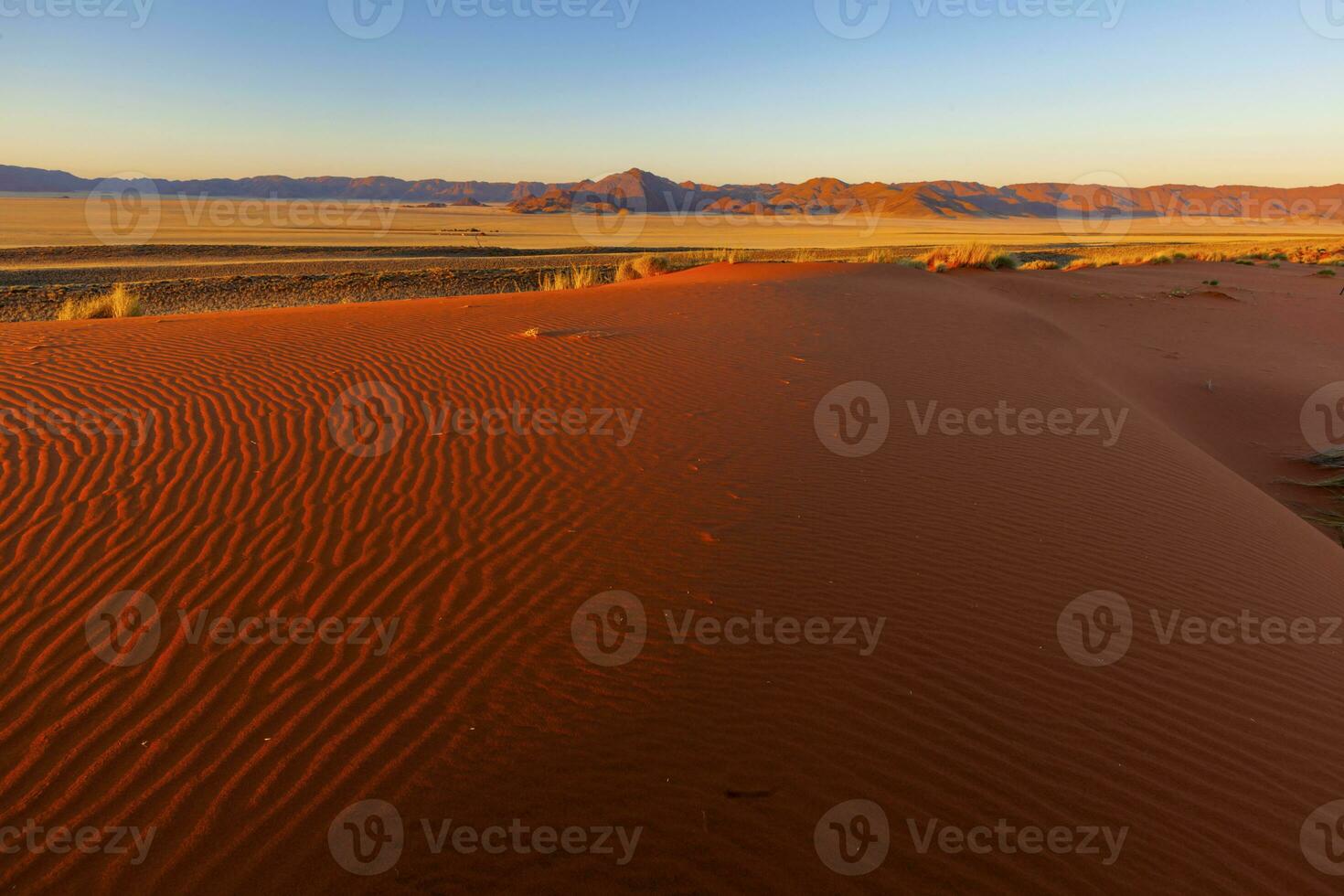 rouge le sable dune à le coucher du soleil dans namib désert photo