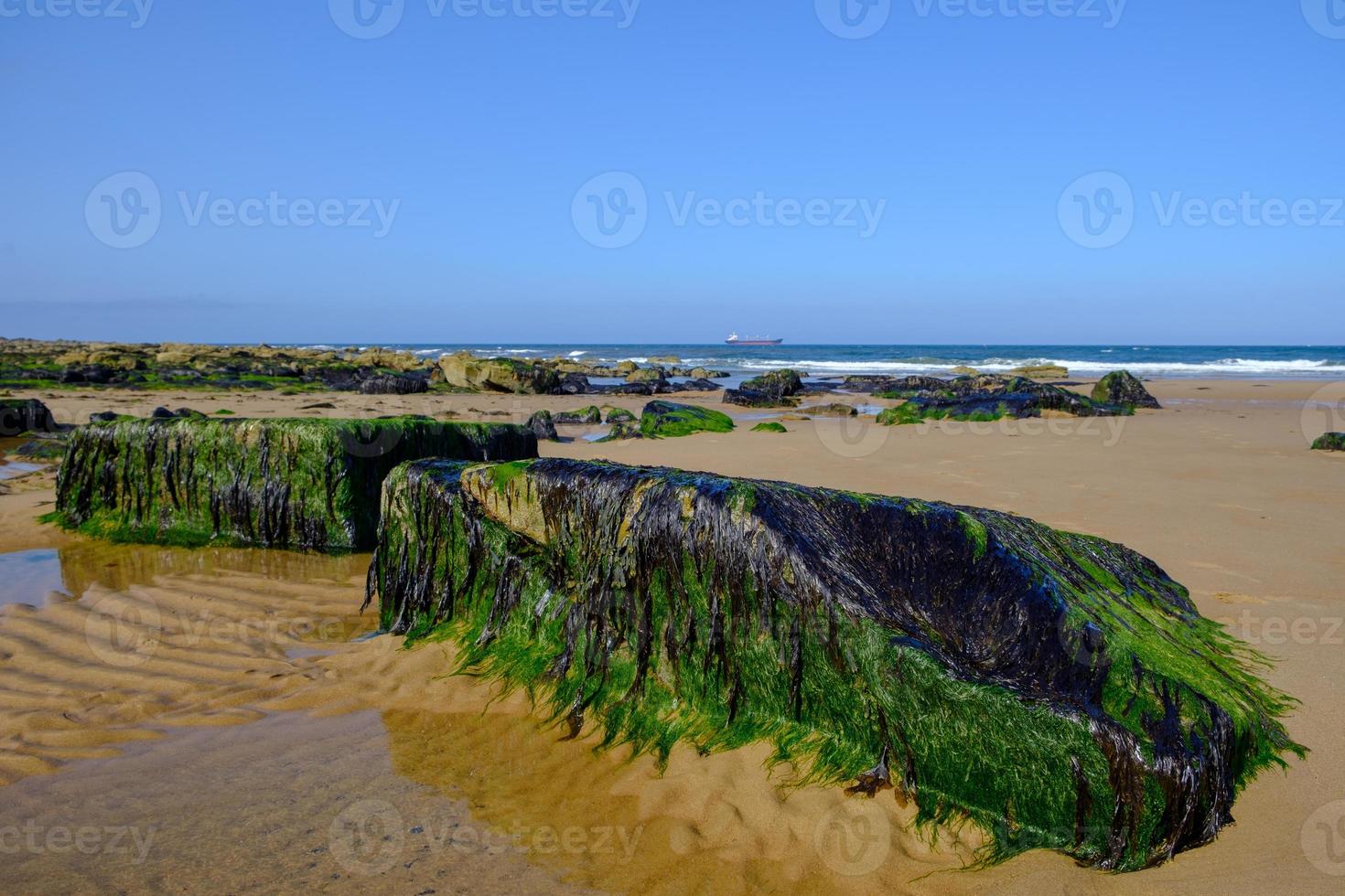 Tynemouth Long Sands sur la côte nord-est de l'Angleterre photo