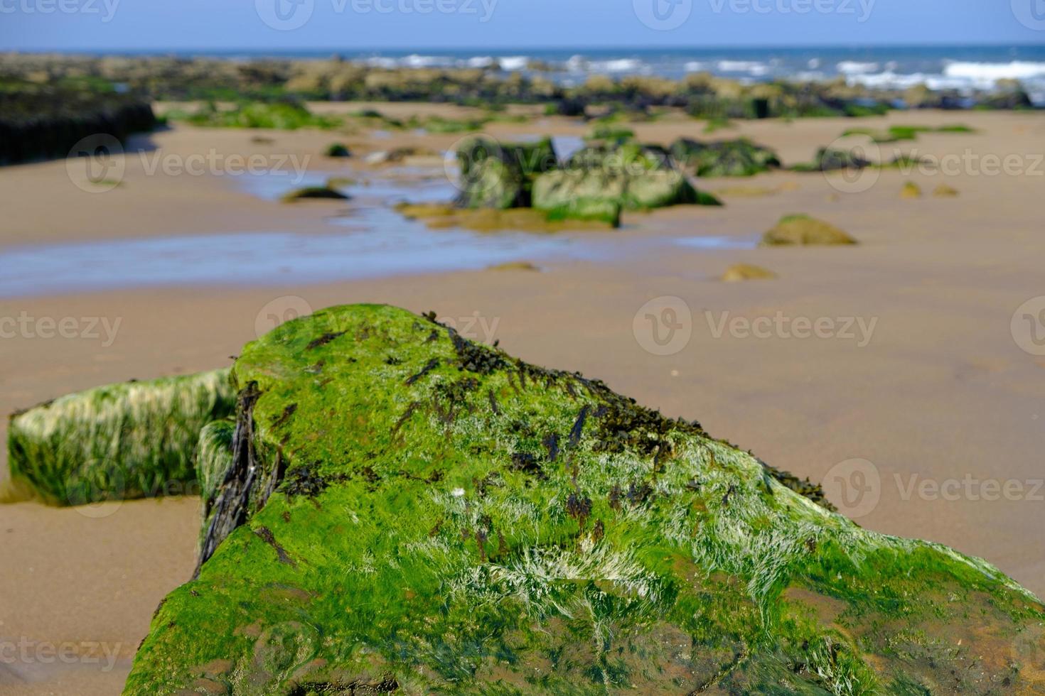 Le sable et les rochers à Short Sands Beach Tynemouth, Royaume-Uni photo