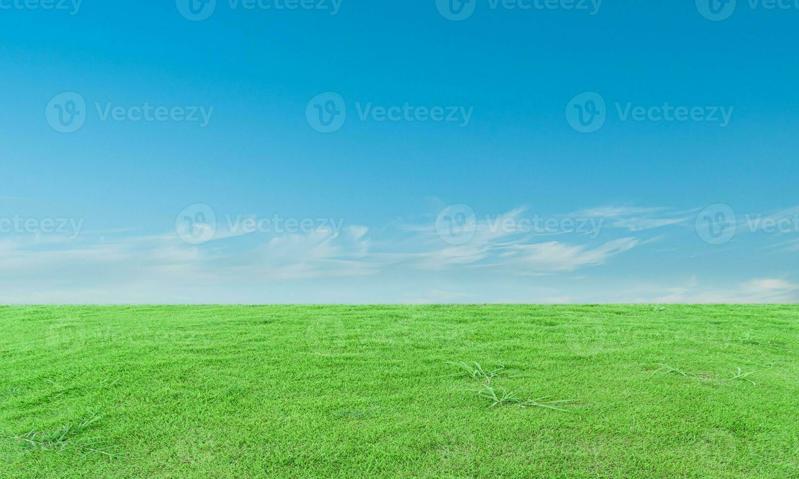 vert herbe champ et bleu ciel avec des nuages Contexte. photo