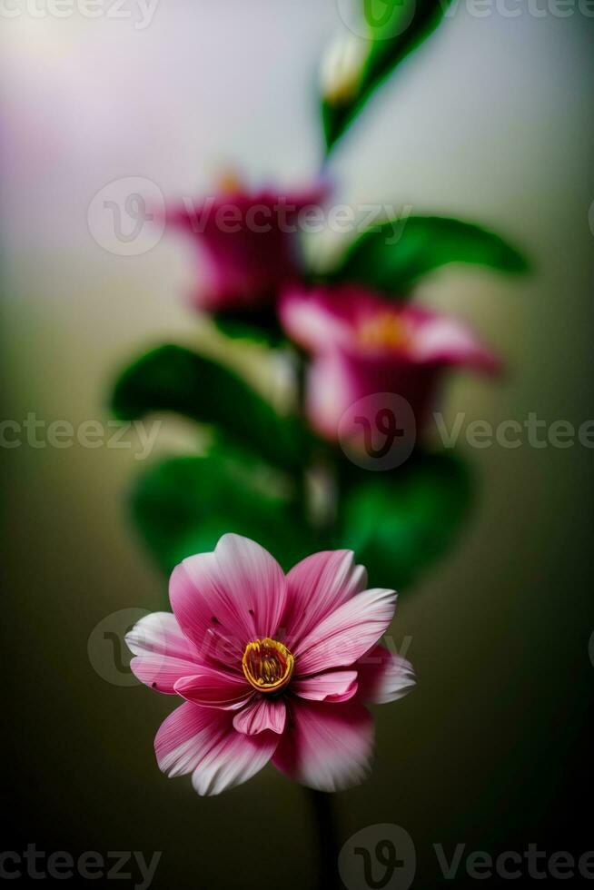 une proche en haut de une rose fleur avec vert feuilles. ai généré photo