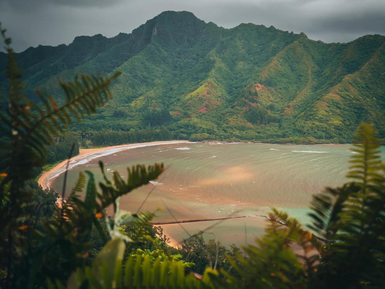 vue sur la nature tropicale depuis un sentier de randonnée à oahu, hawaii photo