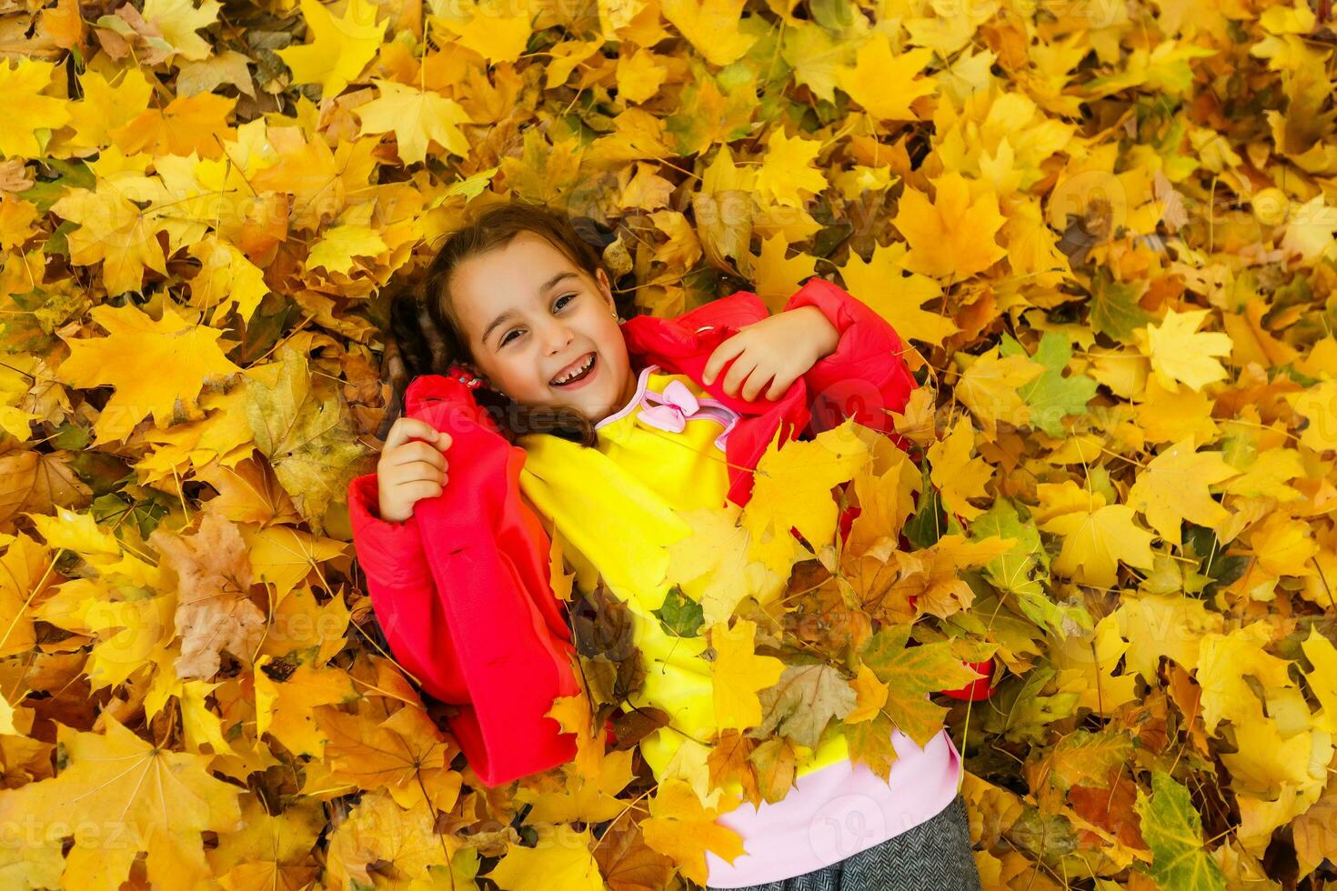 content peu fille mensonges dans Jaune feuilles dans l'automne parc photo