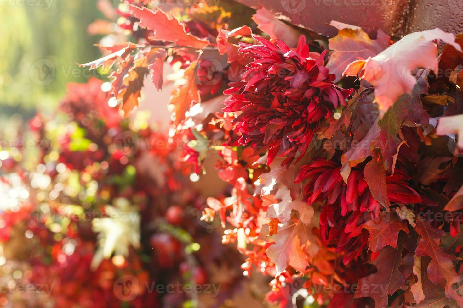 l'automne bouquet de Jaune et Orange fleurs, rouge baies et érable feuilles mensonge sur le herbe photo