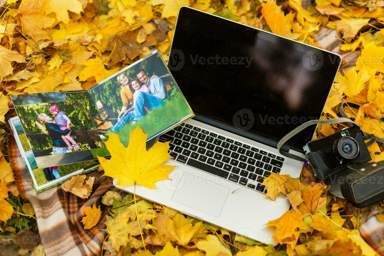 livre photo l'automne feuilles