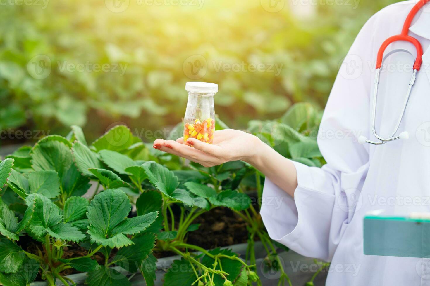à base de plantes médicament de plante la nature concept. herbe Naturel des médicaments ou vitamine extrait de biologique jardin cultiver. photo