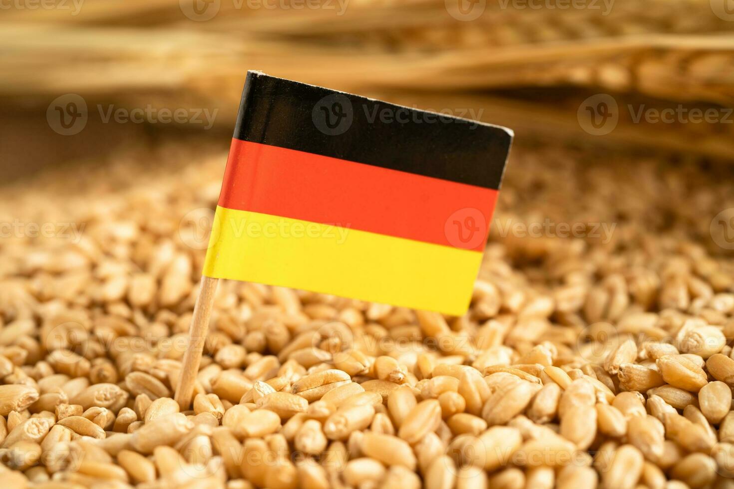 grains de blé avec le drapeau de l'allemagne, l'exportation commerciale et le concept d'économie. photo