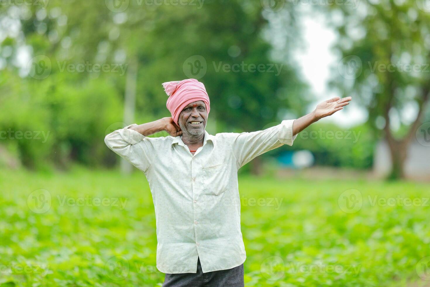 Indien agriculteur montrant coton arbre dans coton ferme , content agriculteur photo