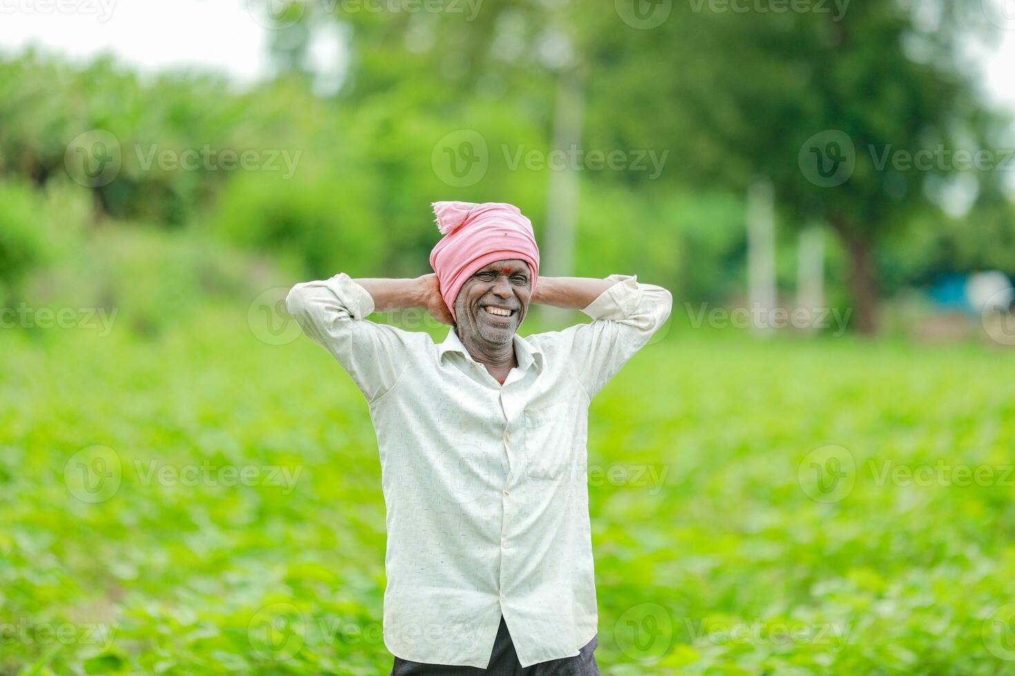 Indien agriculteur montrant coton arbre dans coton ferme , content agriculteur photo