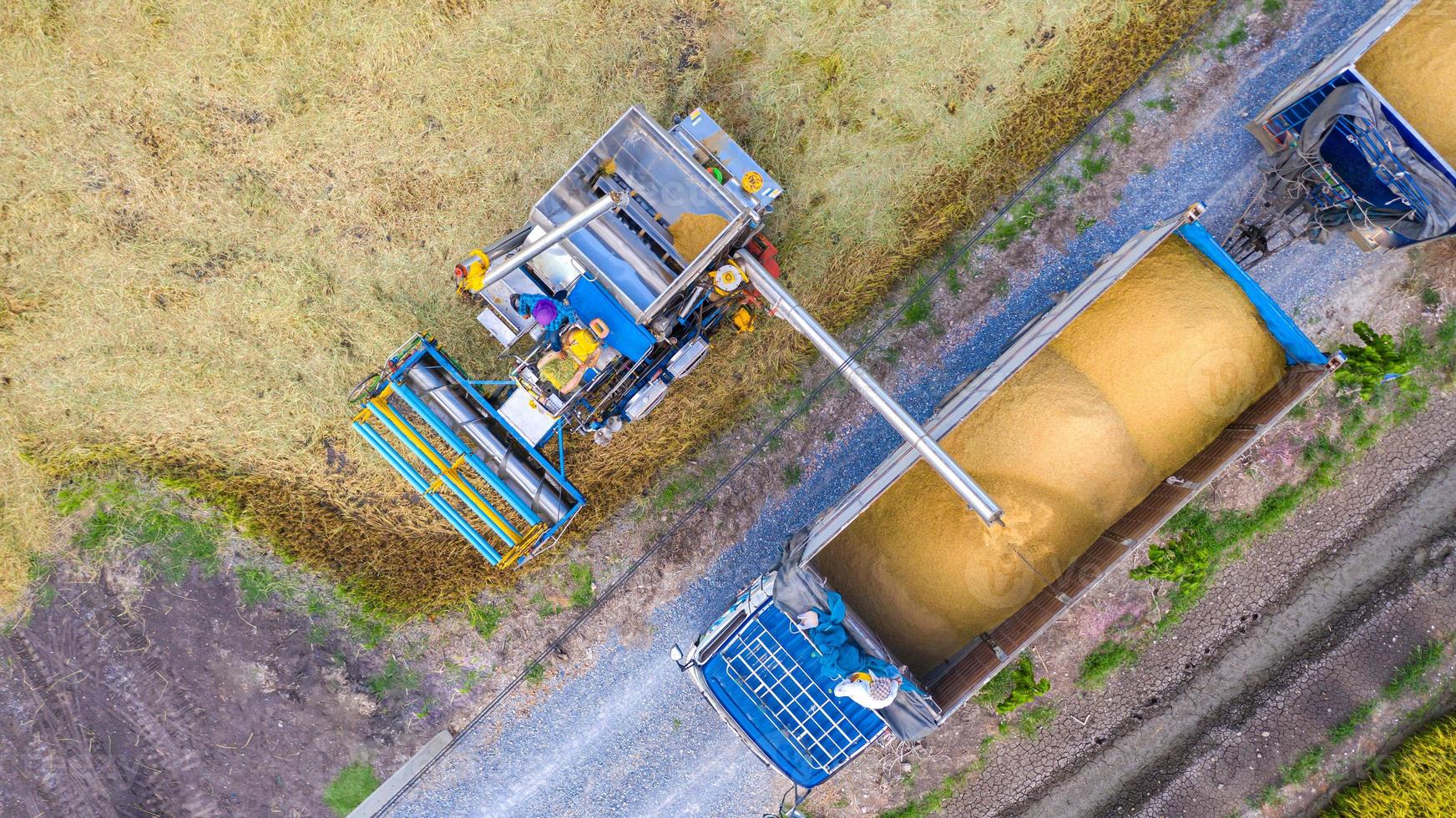 vue aérienne de dessus de la machine de récolte et du camion travaillant dans une rizière, vue d'en haut photo