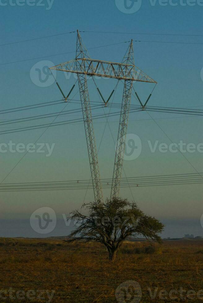 un arbre au milieu d'un champ photo