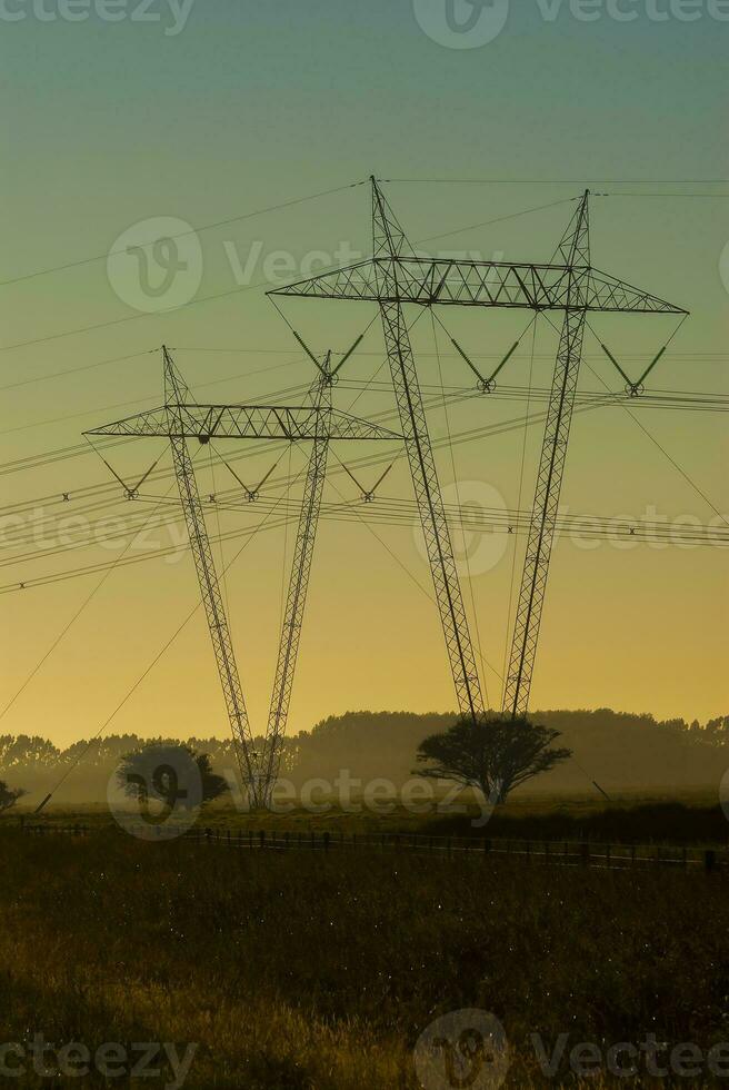 un arbre au milieu d'un champ photo