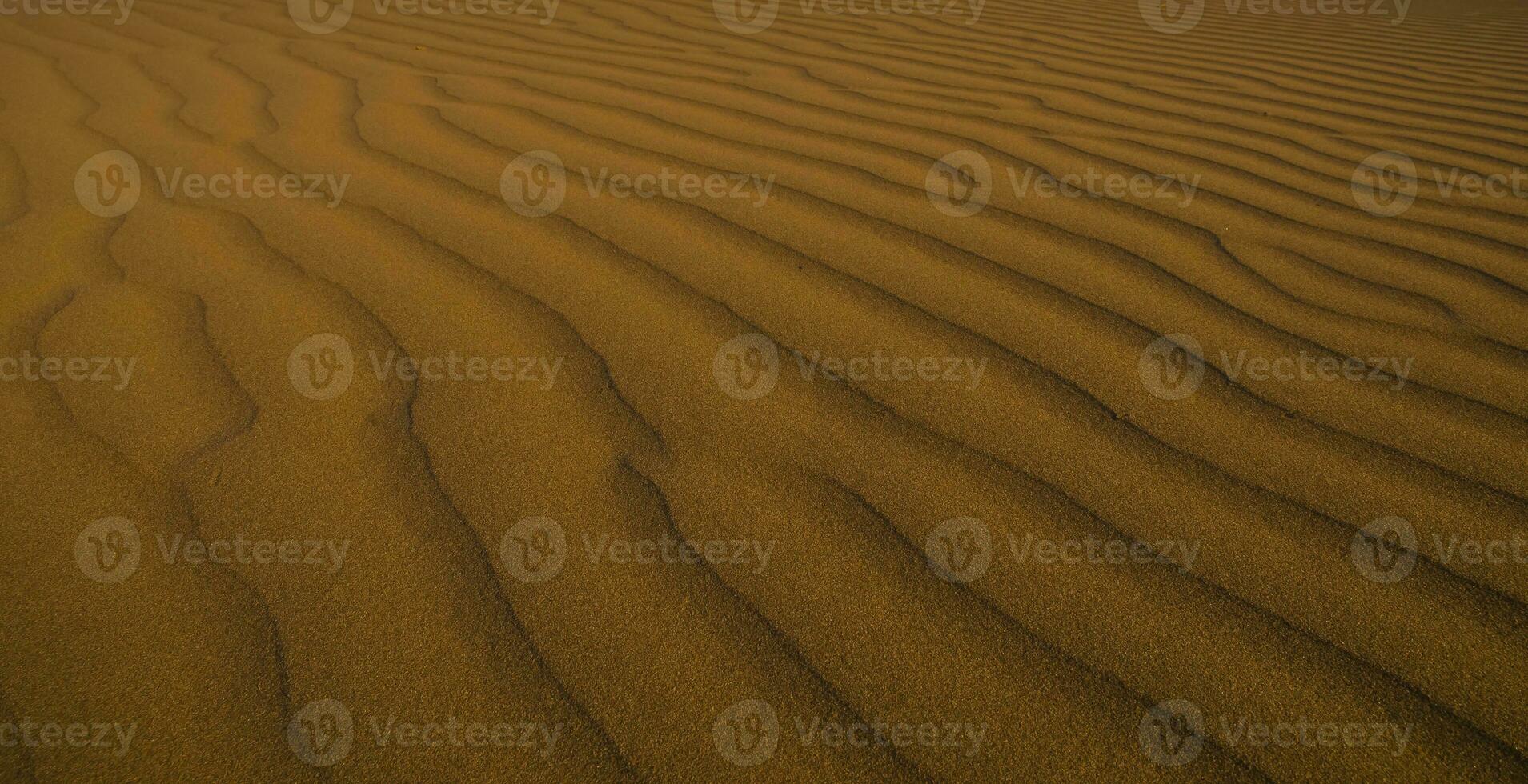 dune Contexte vue photo