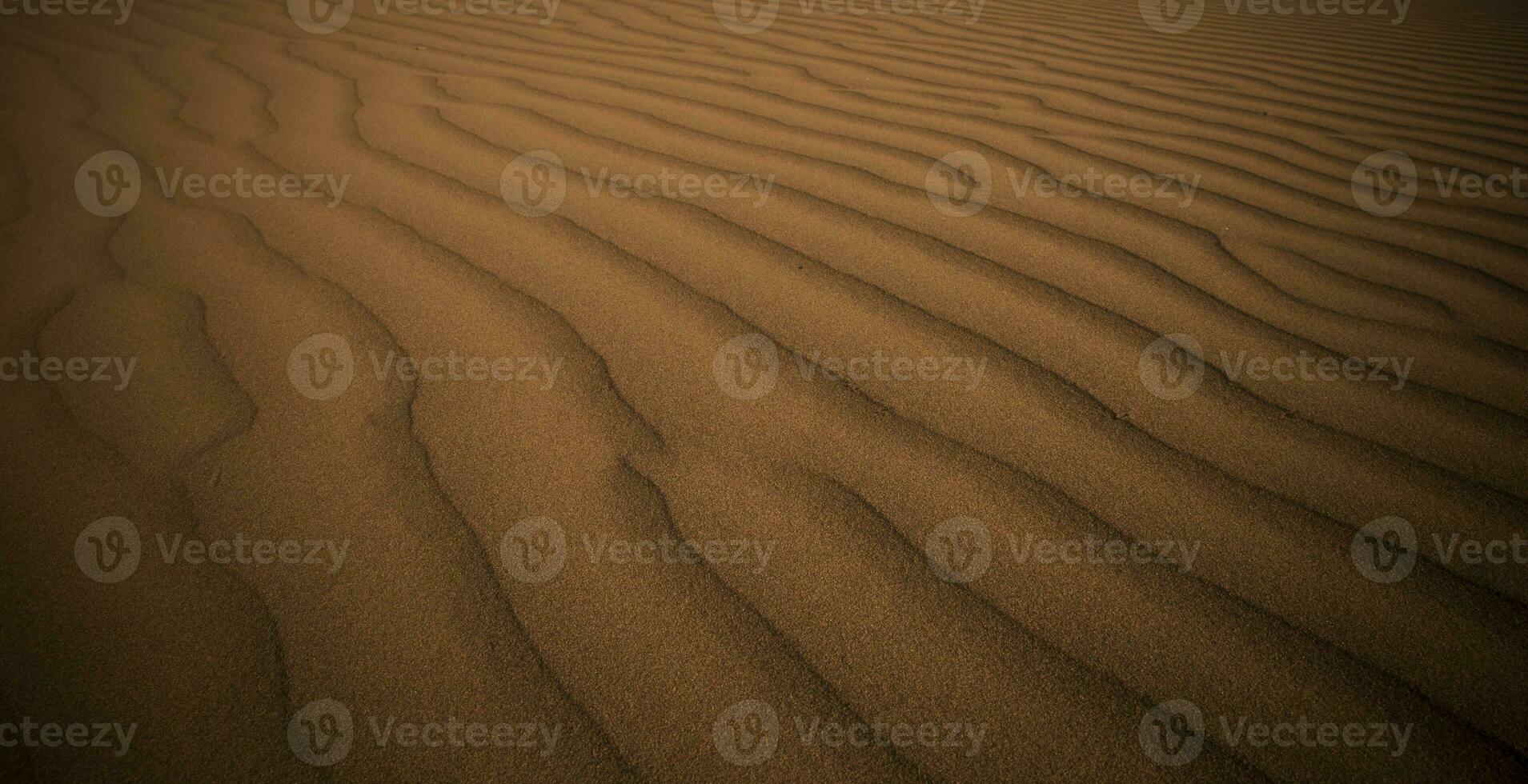 le sable dunes dans la pampa, Argentine photo