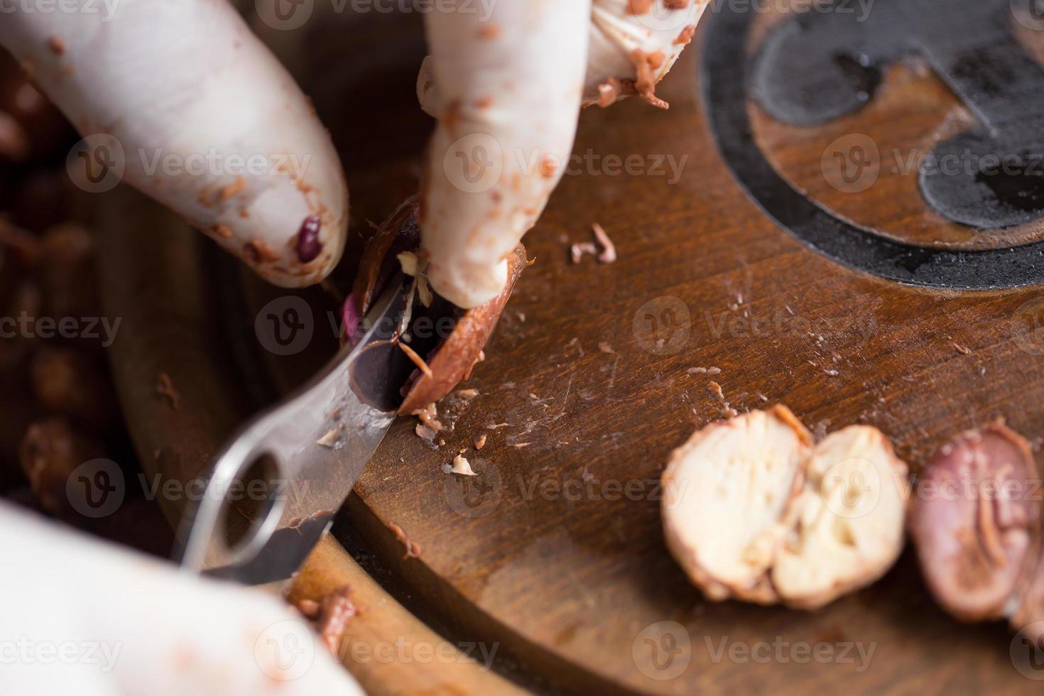 choisir des fèves de cacao crues avec la main de l'homme photo