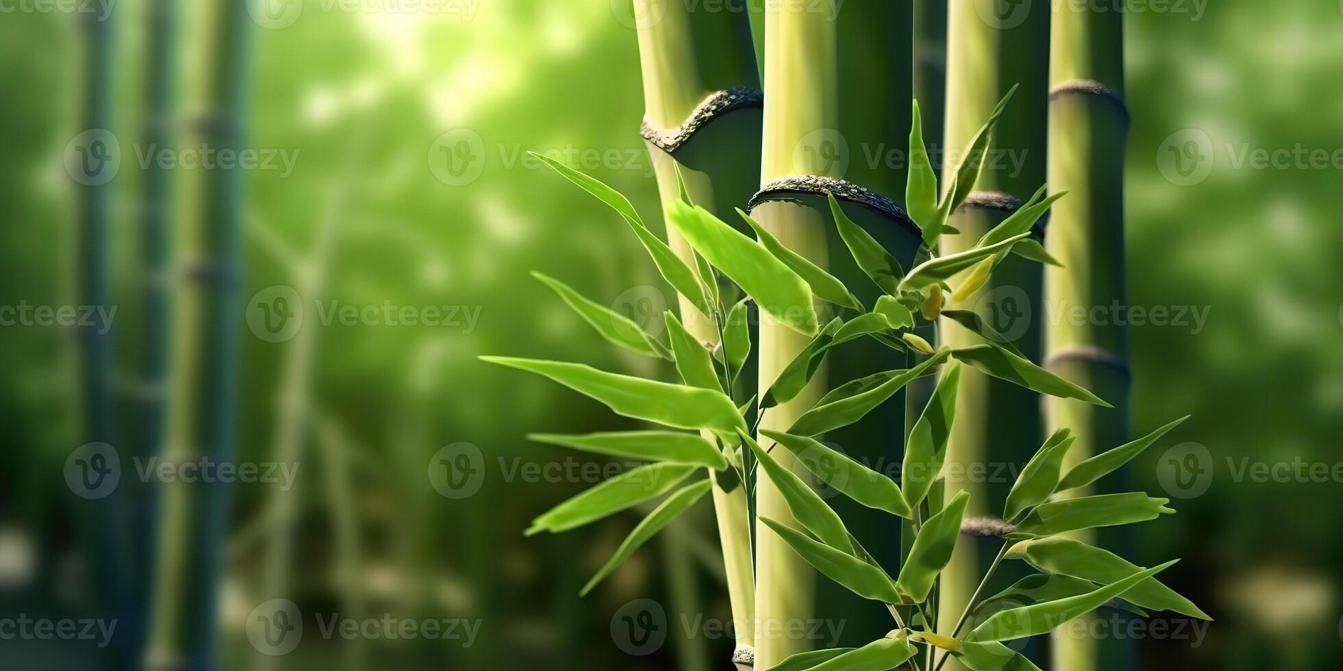 ai généré. ai génératif. éco vert feuille plante arbre bambou. asiatique Japon chinois culture tradition ambiance. graphique art photo