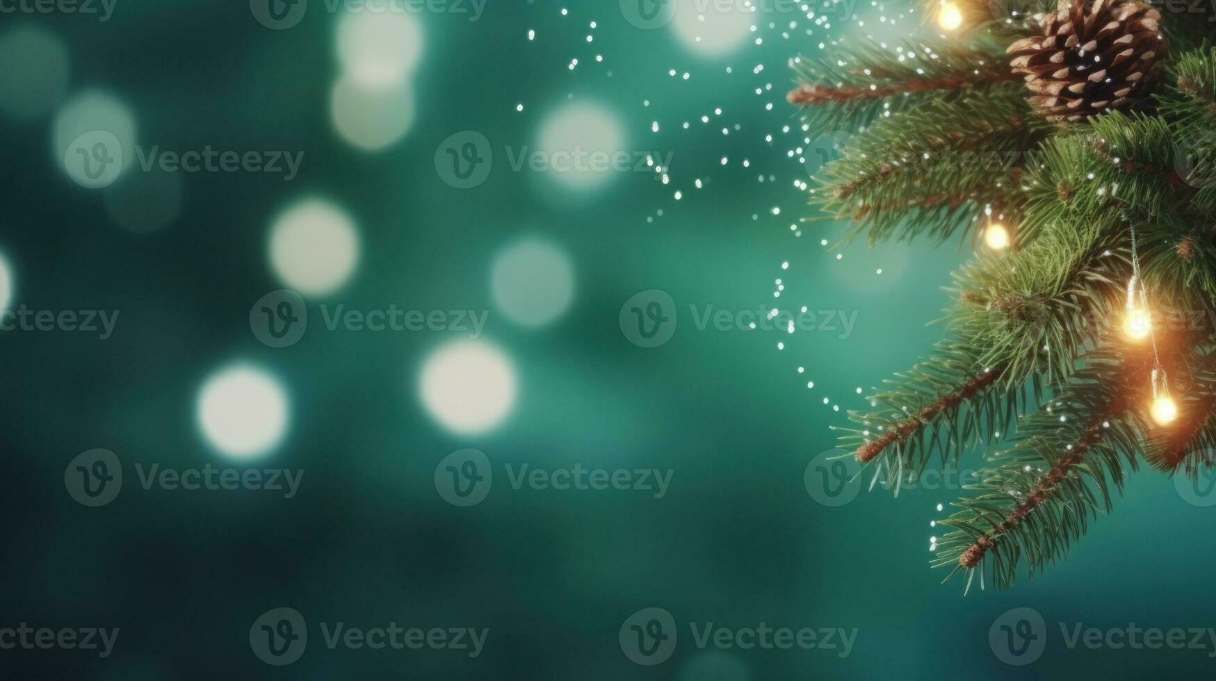 Noël vert sapin branche avec lumières photo