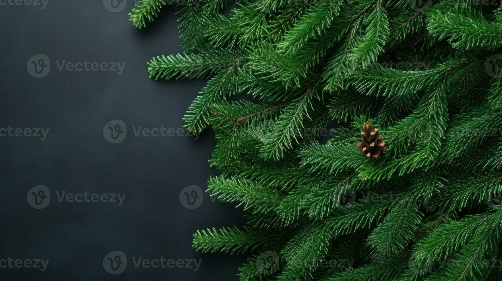 Noël sapin branche sur vert Contexte photo