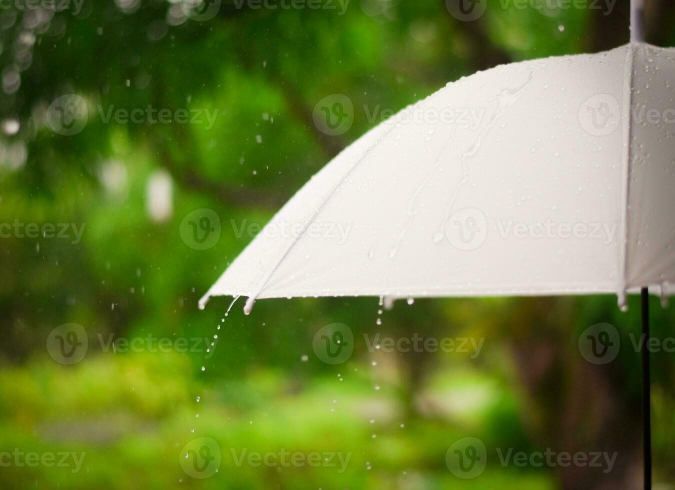 pluie sur parapluie. pluvieux saison temps concept. photo