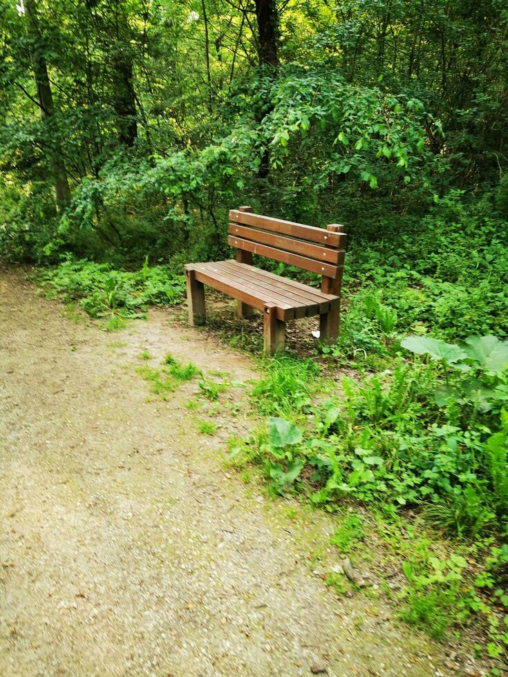 en bois banc dans le parc. été saison. la nature Contexte. photo