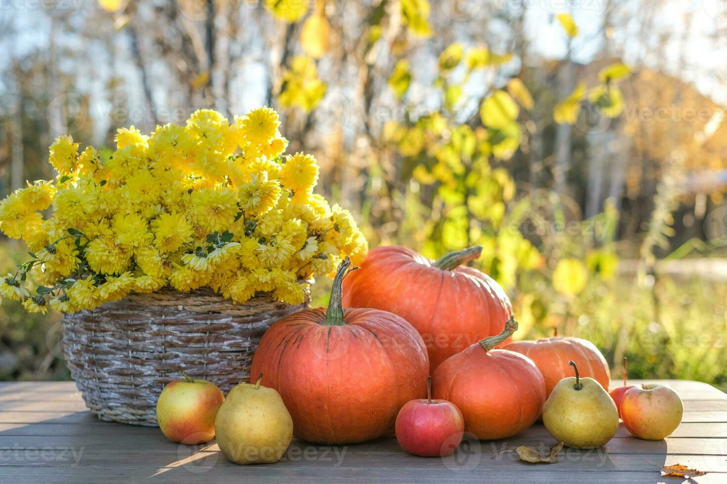 l'automne tomber composition avec citrouilles, pommes et panier avec chrysanthèmes. concept de action de grâces journée ou Halloween photo