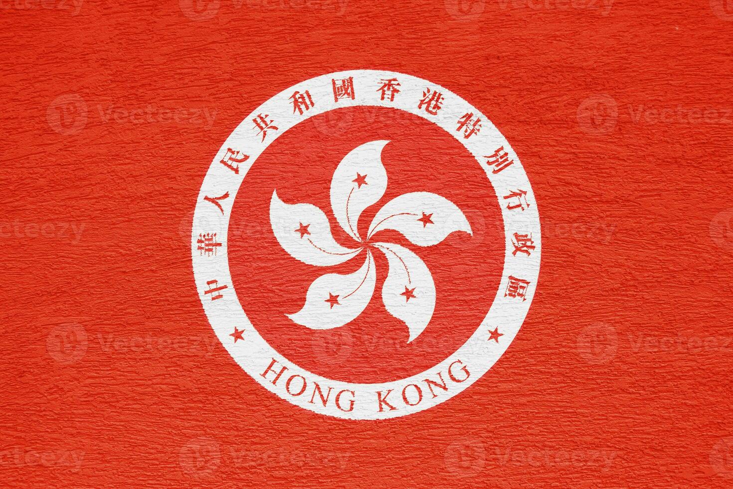 drapeau et manteau de bras de Hong kong spécial administratif Région sur une texturé Contexte. concept collage. photo