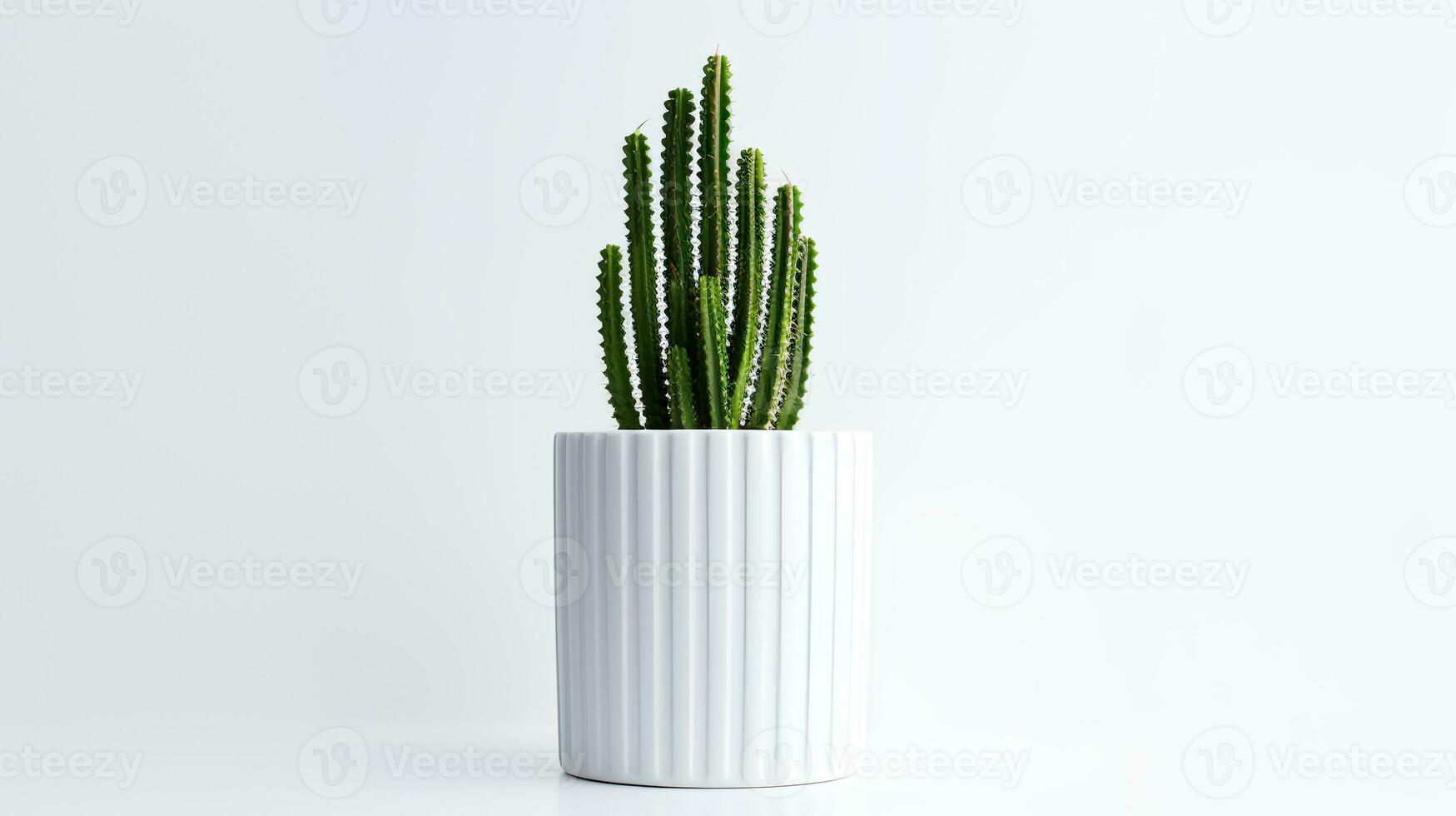 photo de organe tuyau cactus dans minimaliste pot comme plante d'appartement pour Accueil décoration isolé sur blanc Contexte. génératif ai