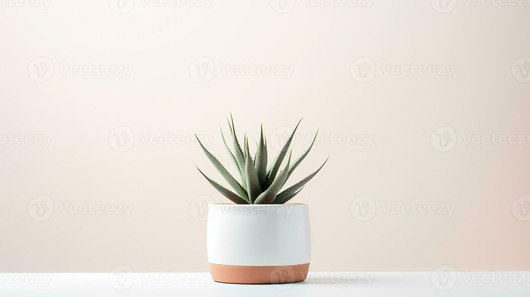 photo de agave dans minimaliste pot comme plante d'appartement pour Accueil décoration isolé sur blanc Contexte. génératif ai