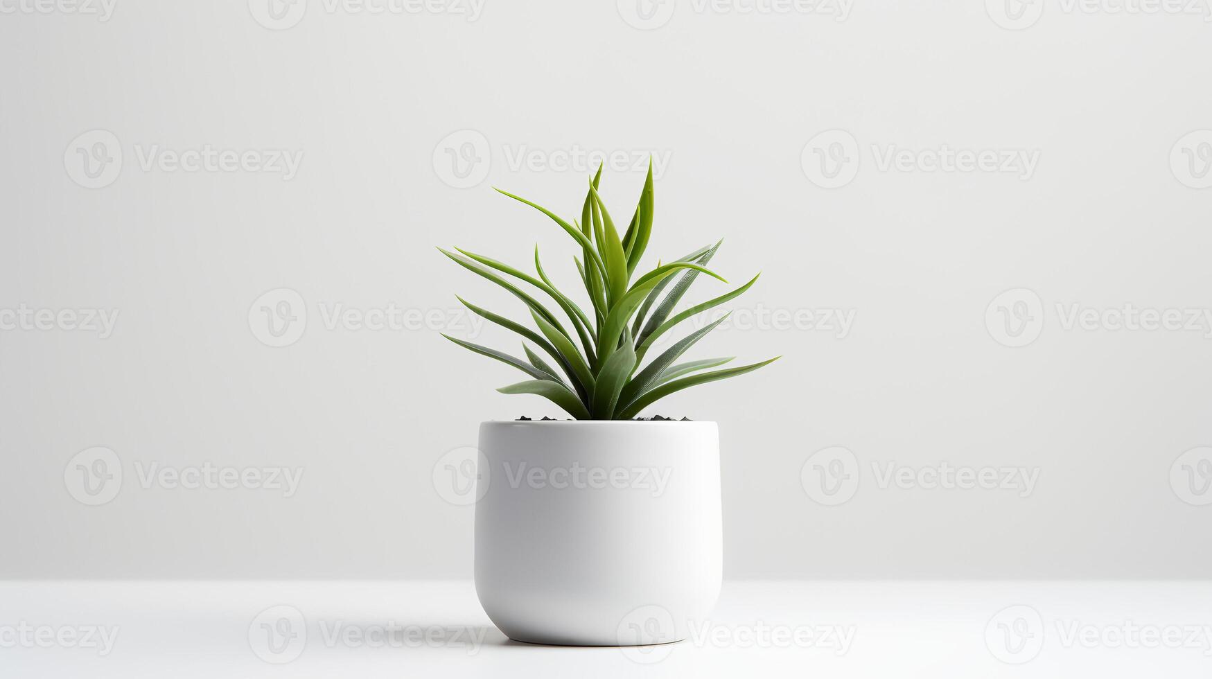 photo plante d'appartement dans minimaliste pot pour Accueil décoration. génératif ai