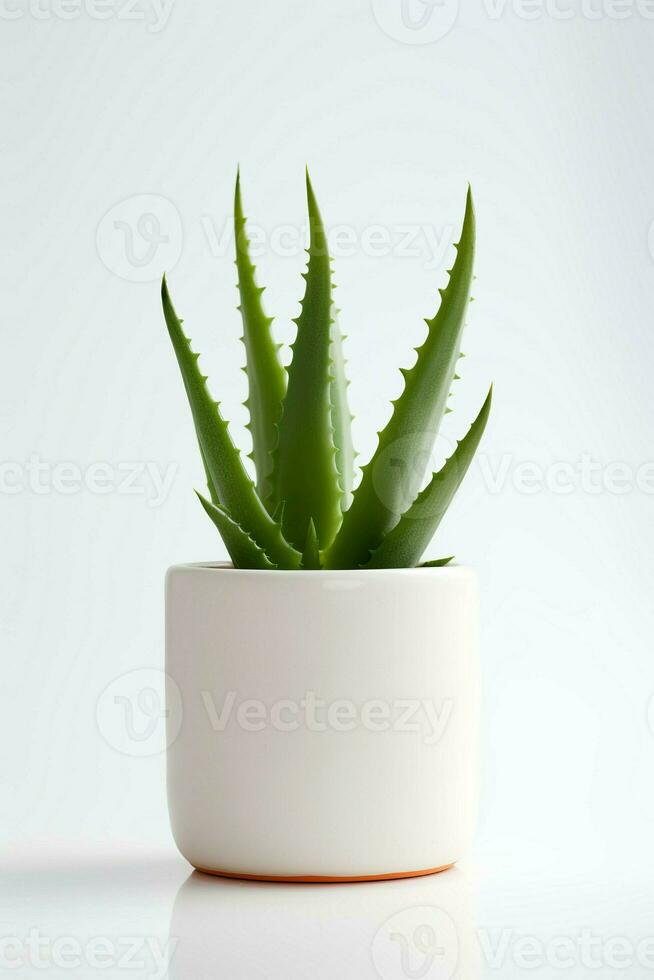 photo de aloès Vera dans minimaliste pot comme plante d'appartement pour Accueil décoration isolé sur blanc Contexte. génératif ai
