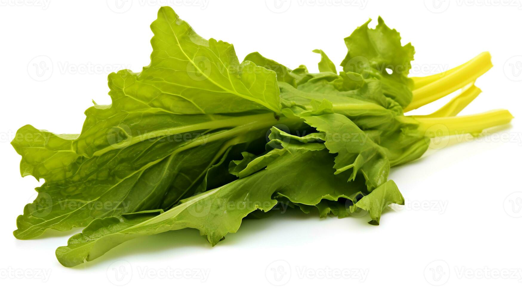 photo de moutarde légumes verts isolé sur blanc Contexte