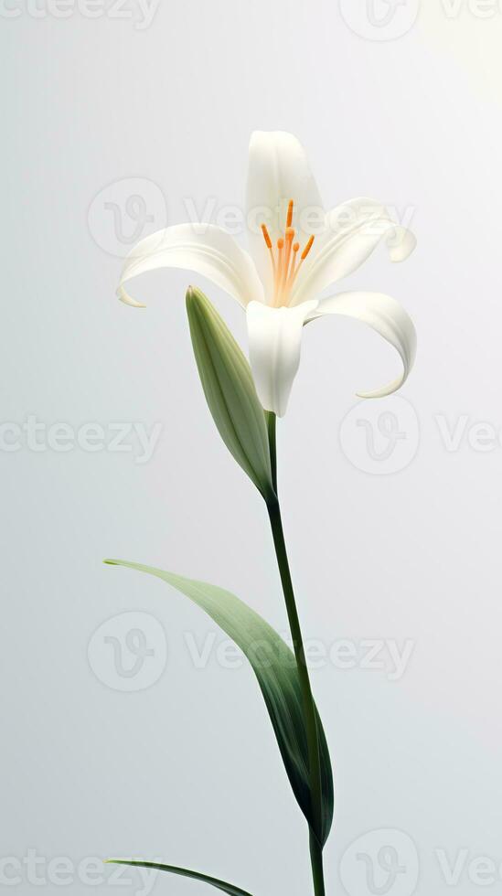 photo de un tige de lis fleur isolé sur blanc Contexte. génératif ai