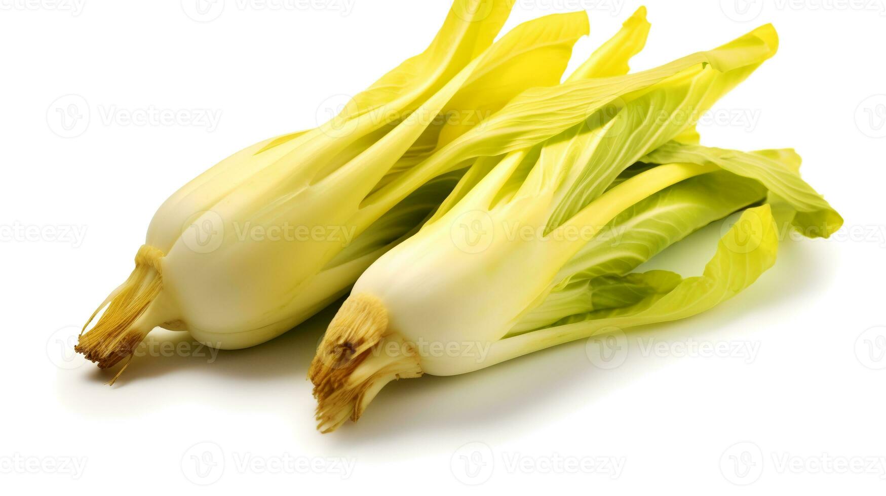 photo de endive isolé sur blanc Contexte