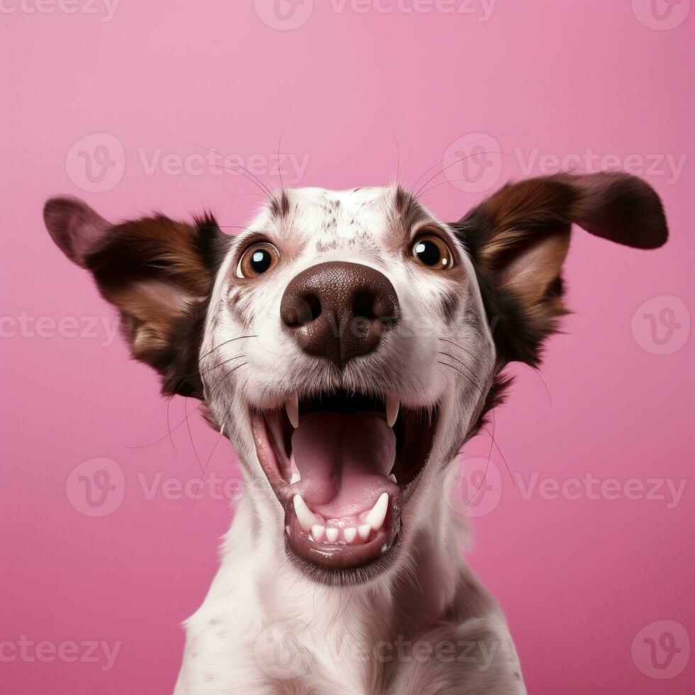 génératif ai, portrait de une content chien à la recherche à le caméra avec bouche ouvert sur rose Contexte photo